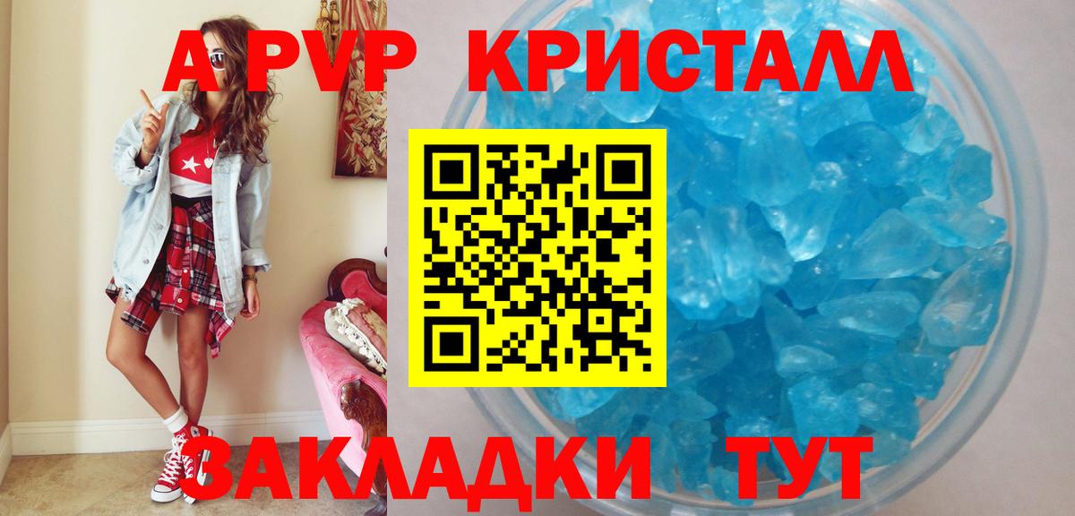 A PVP СК КРИС Боровичи