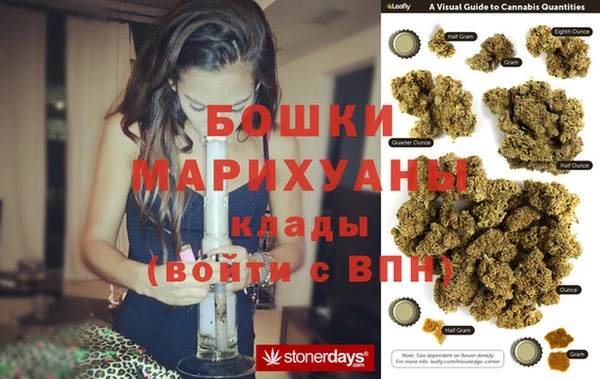 ALPHA PVP Новозыбков
