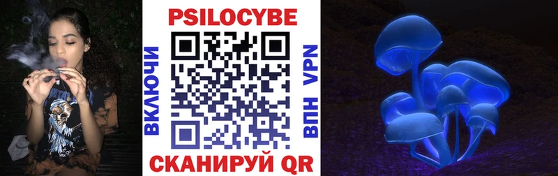Галлюциногенные грибы прущие грибы  ОМГ ОМГ ссылки  Боровичи 