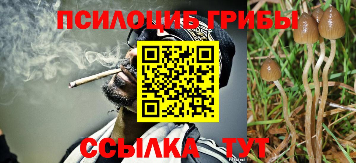 Псилоцибиновые грибы прущие грибы Боровичи