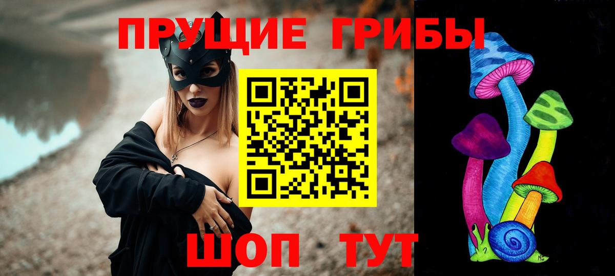 Псилоцибиновые грибы мицелий  Боровичи  Псилоцибиновые грибы Psilocybe 