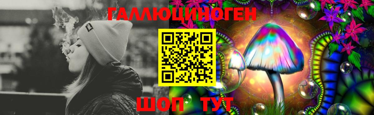 Боровичи  Галлюциногенные грибы Magic Shrooms  Вход с VPN 